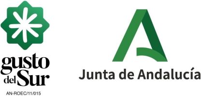 Aceite de Oliva Virgen Extra 5 Litros Picual Oleo Estrella | Aceite de Oliva Virgen Extra de Jaén | Aceite Oliva Virgen Extra 5 Litros