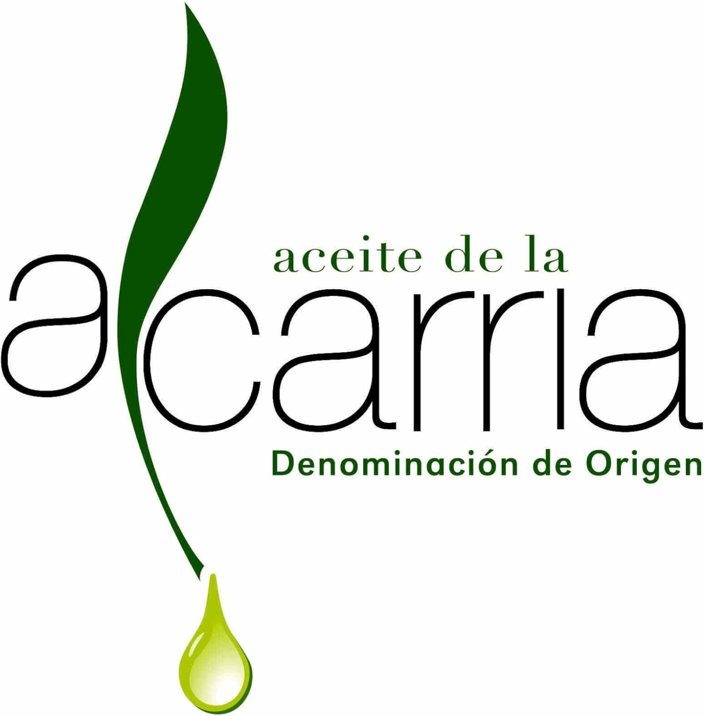 Aceite de oliva Virgen Extra 3l AOVE ECOLOGICO Primer prensado en frio Primera Prensada Cosecha temprana Rico en Biofenoles Rico en Oleocanthal Lata 3 litros Aceituna en envero