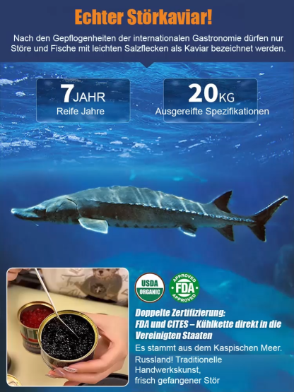 【🎄50 % Rabatt!】🤩20 Jahre alte russische Störkaviar-Marke🎏 – Genießen Sie erstklassigen Geschmack zu Hause!