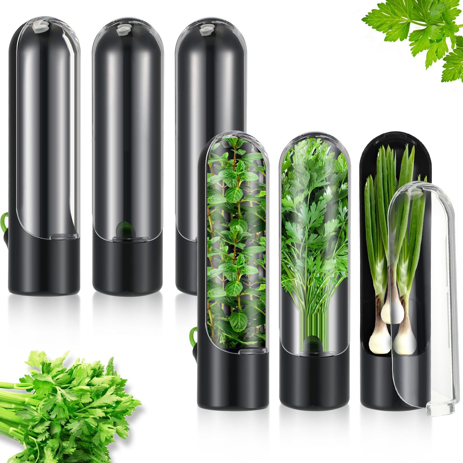 🥦Herb-Preserving Storage Container – Keep Your Herbs Fresh for Longer