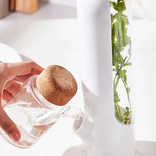 🥦Herb-Preserving Storage Container – Keep Your Herbs Fresh for Longer