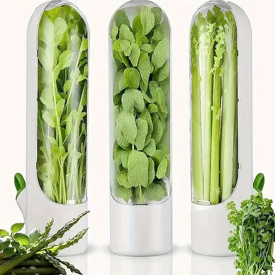 🥦Herb-Preserving Storage Container – Keep Your Herbs Fresh for Longer