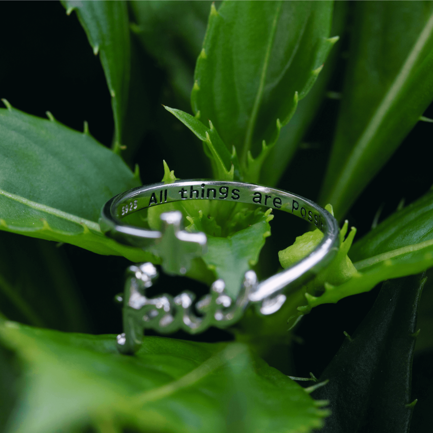 The Faith Ring