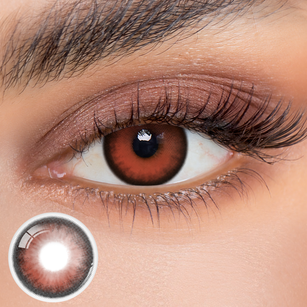 Monthly | Eyemua Bloodrose Red