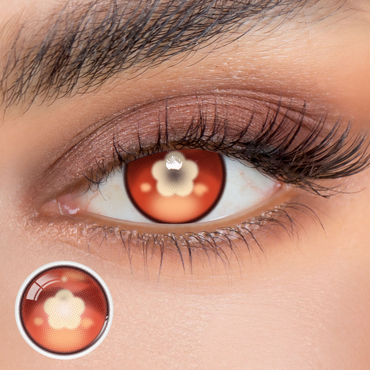 6-Month | Eyemua Nutmeg Red