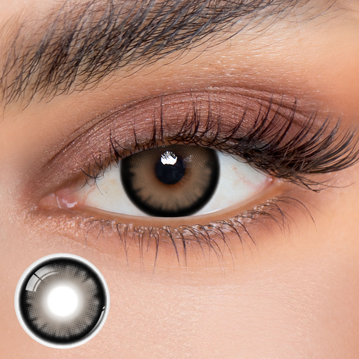 Eyemua Nocturne Brown