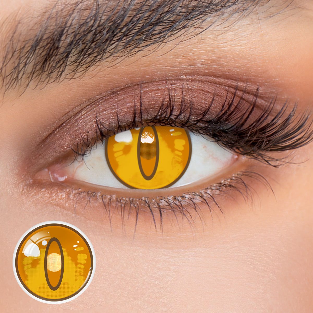 Eyemua Blizzard Brown