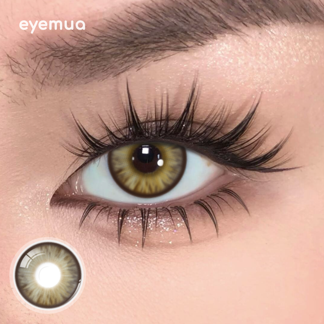 Monthly | Eyemua Begonia Brown