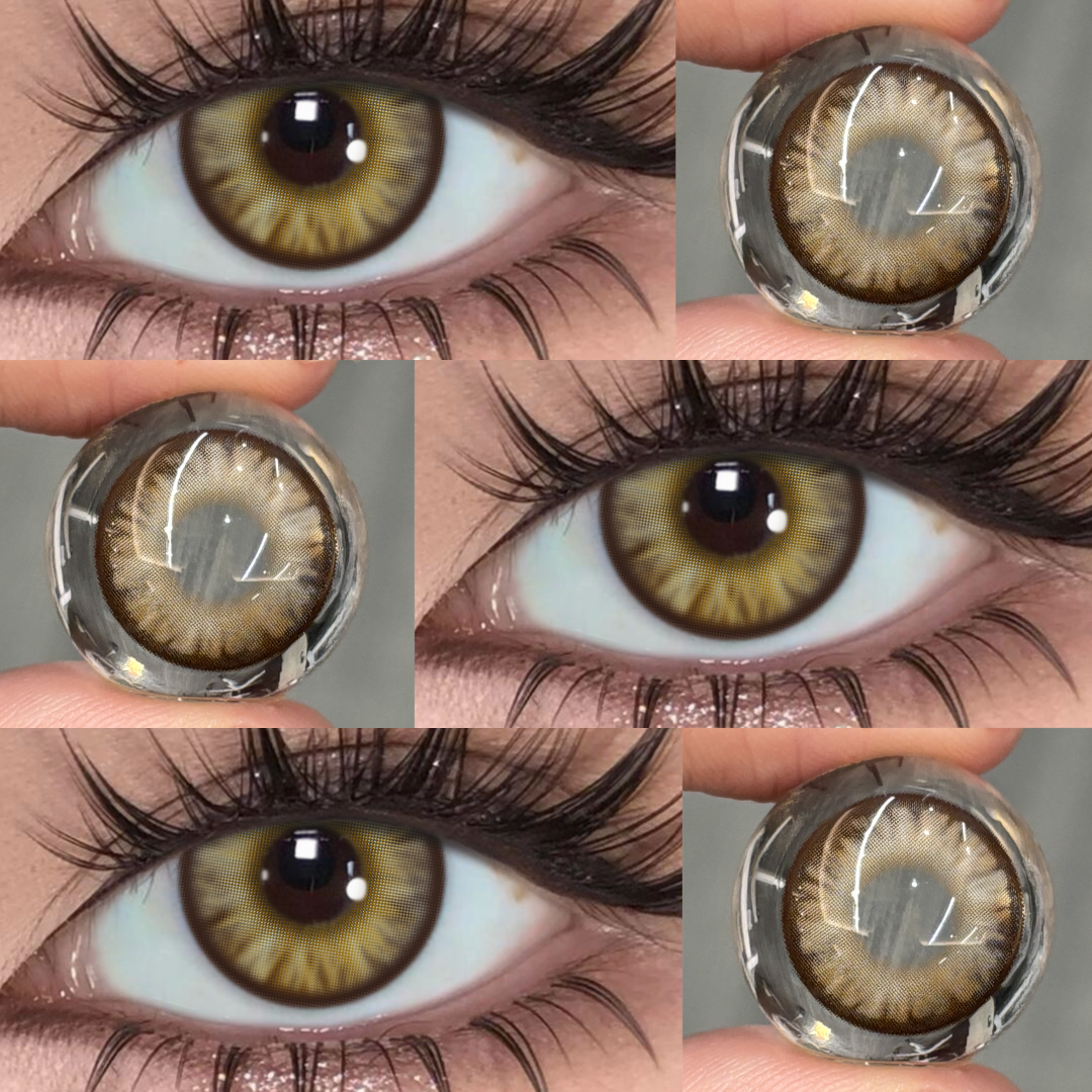 Eyemua Begonia Brown