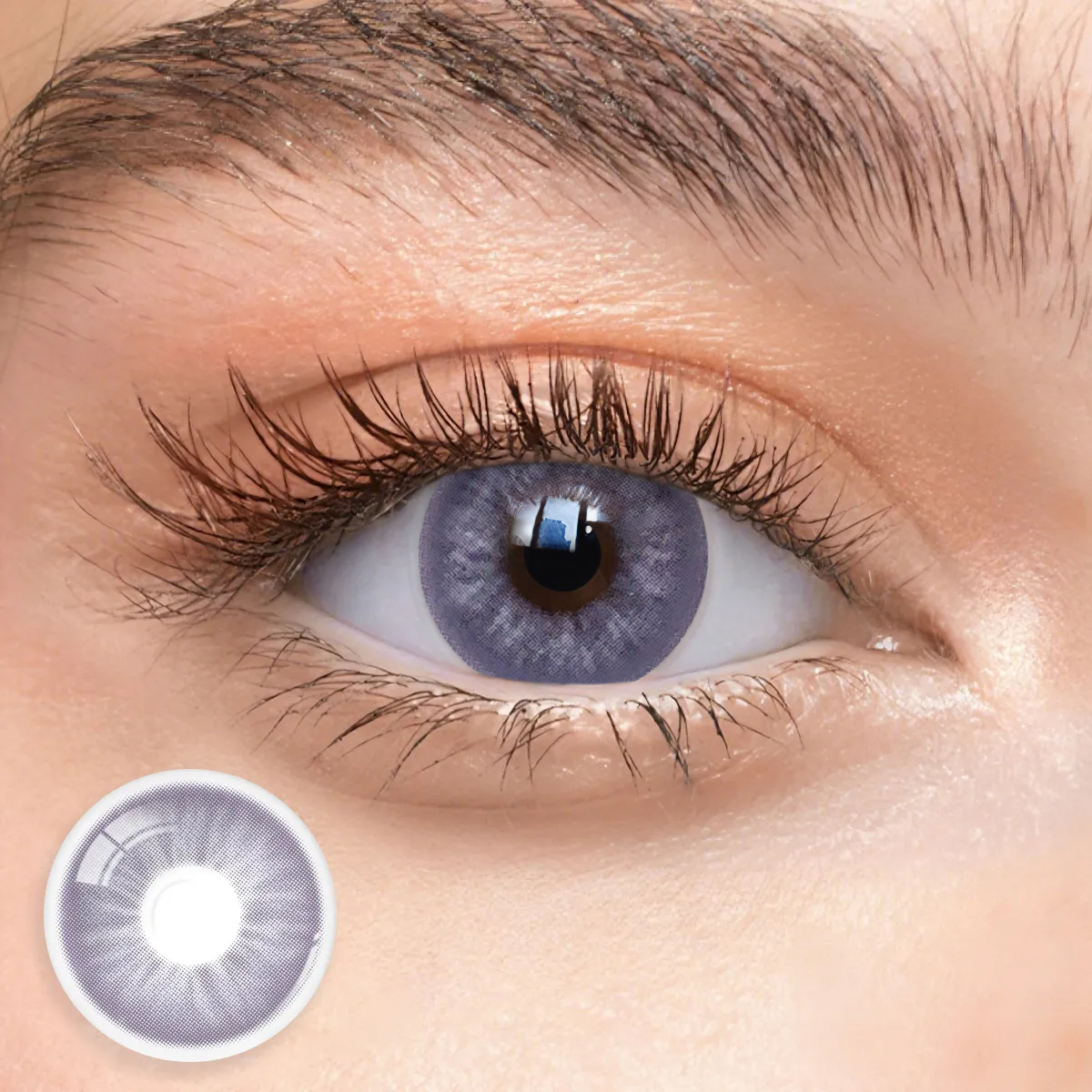 Monthly | Eyemua Flourish Purple