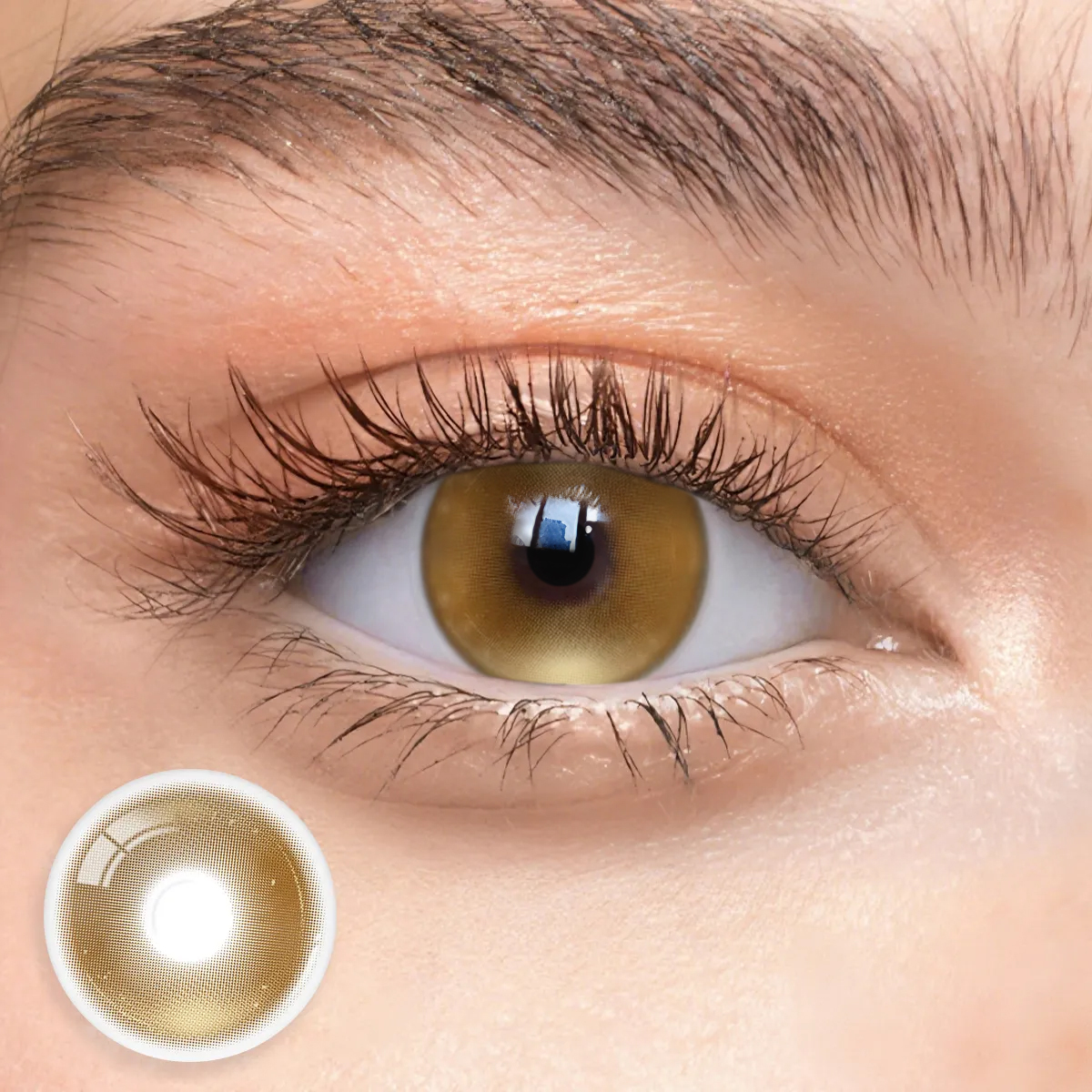 Monthly | Eyemua Marvel Brown