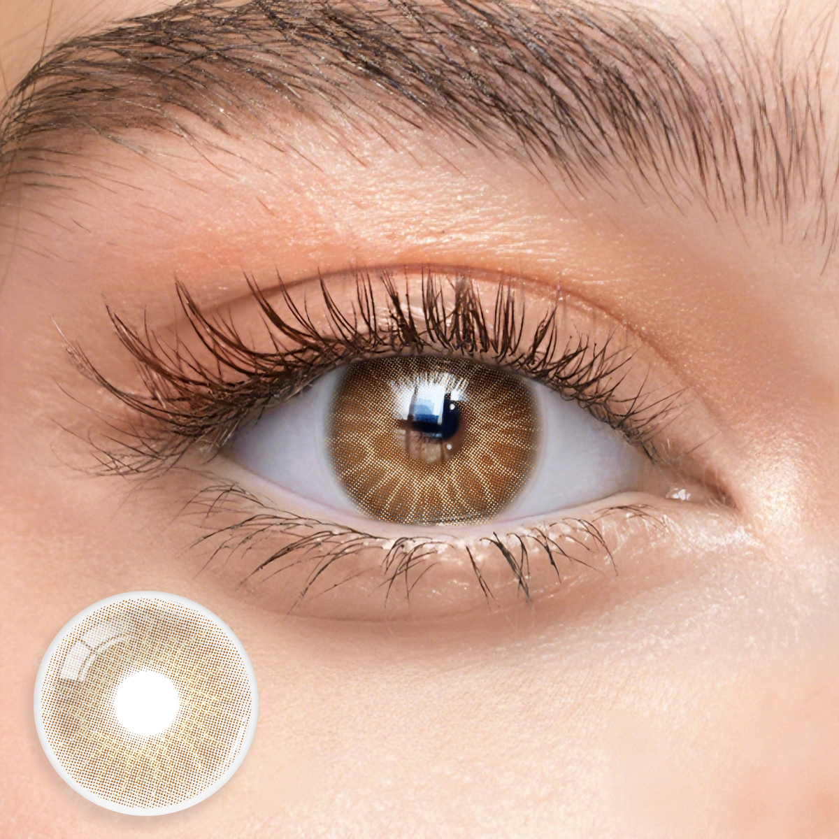 Monthly | Eyemua Seashell Brown