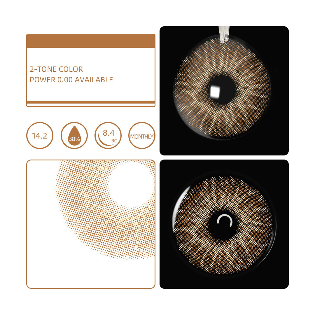 Monthly | Eyemua Seashell Brown