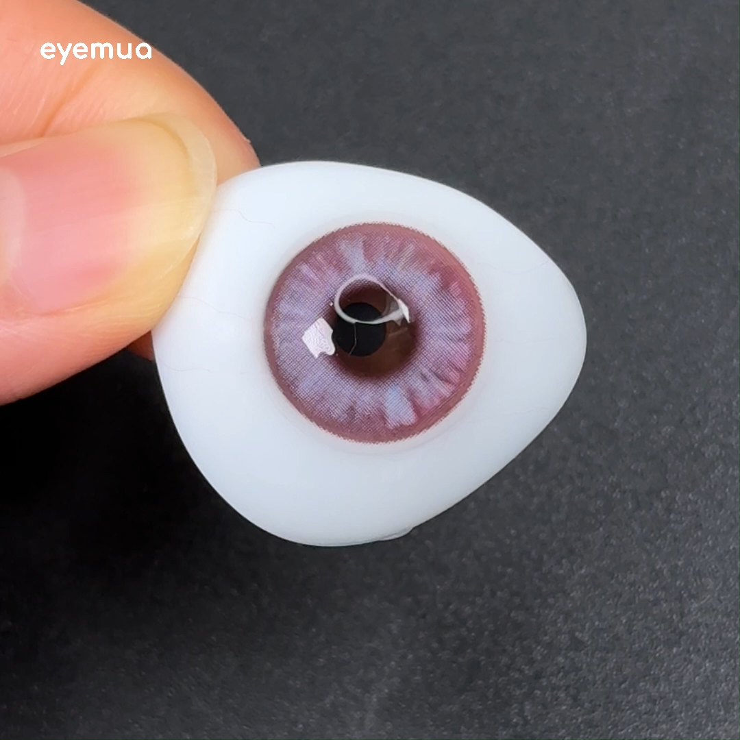 6-Month | Eyemua Begonia Pink