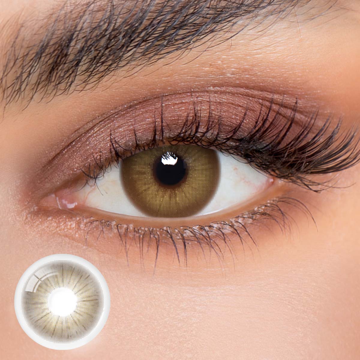 Eyemua Rome Times Brown