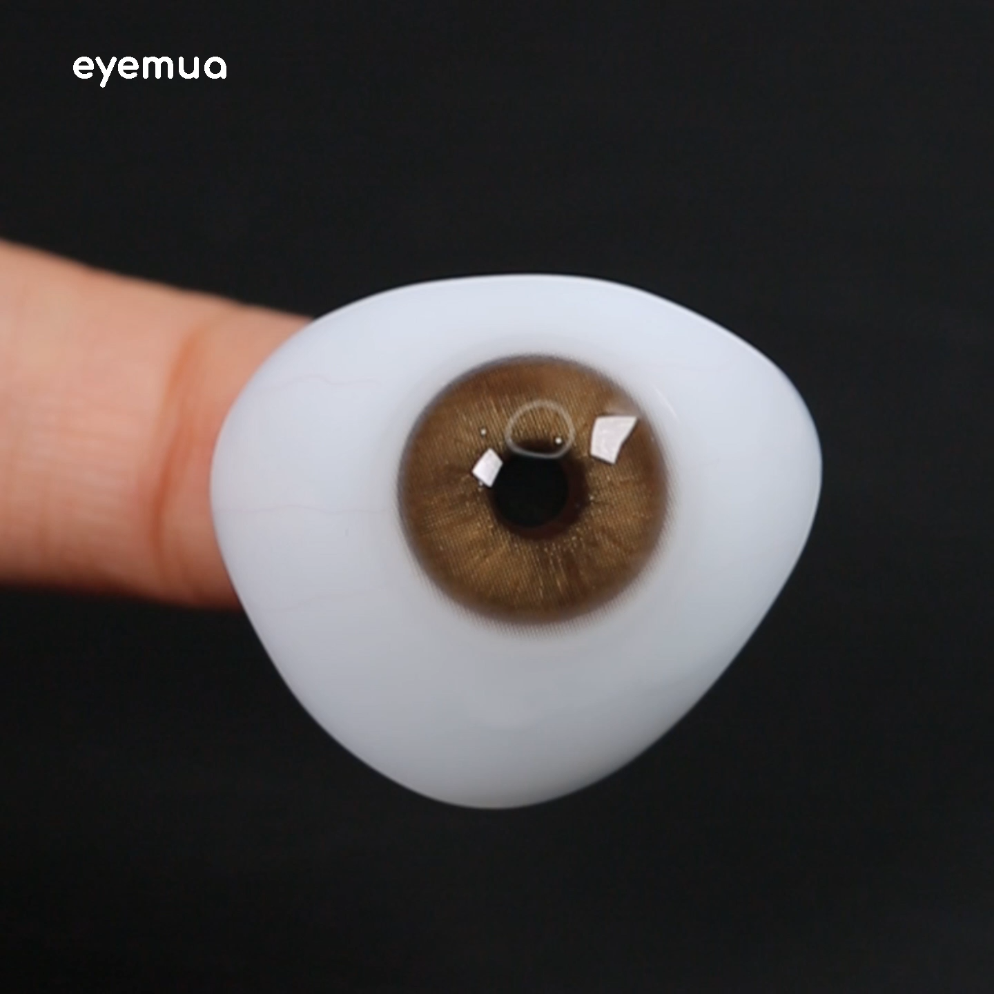 Eyemua Rome Times Brown