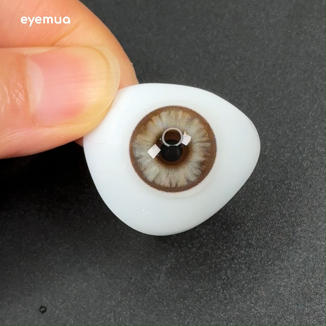 Eyemua Begonia Brown