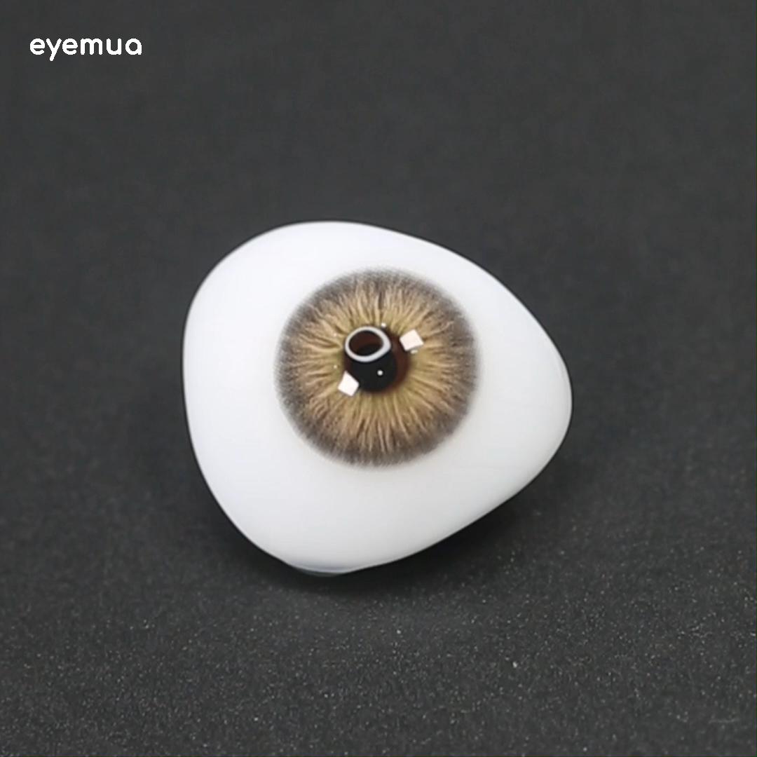 Eyemua Evergreen Brown