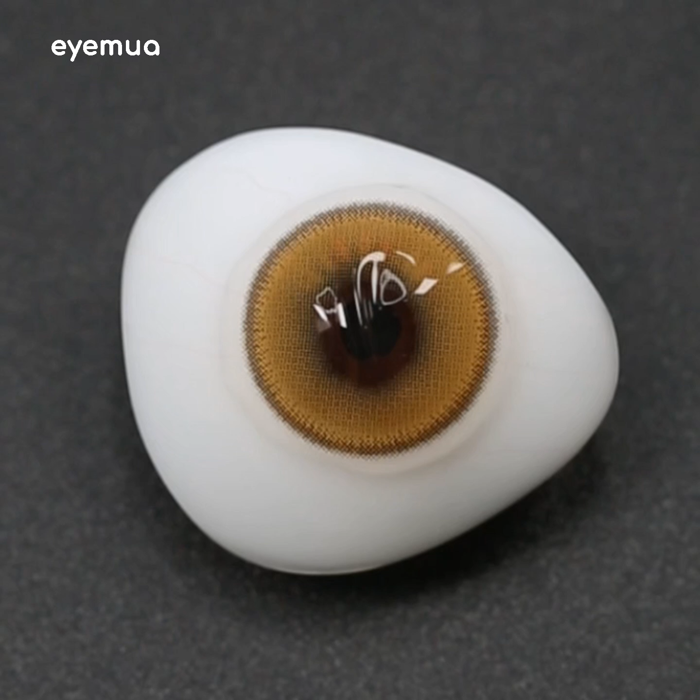 1 Day, 2 Pcs | Eyemua Golden Bloom