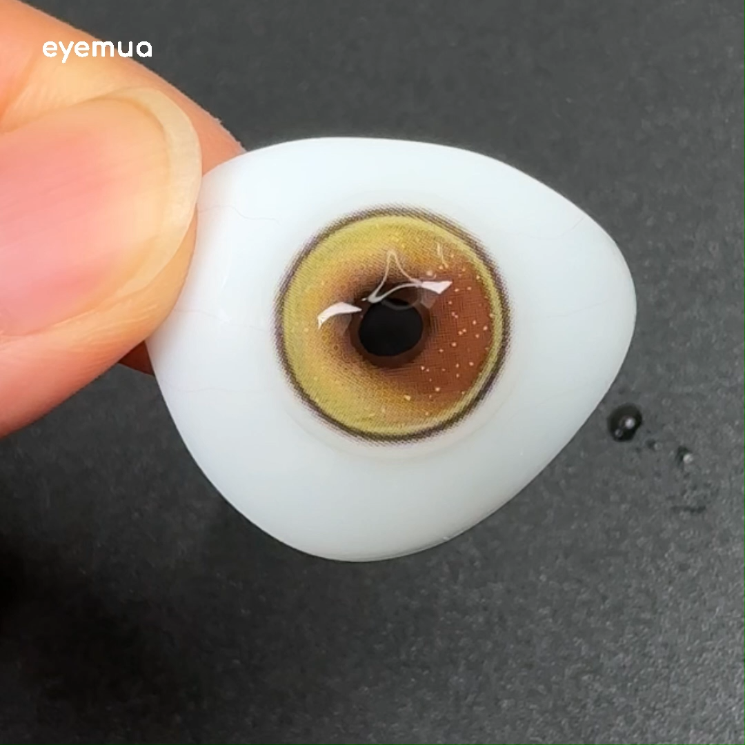 6-Month | Eyemua Rebel Brown