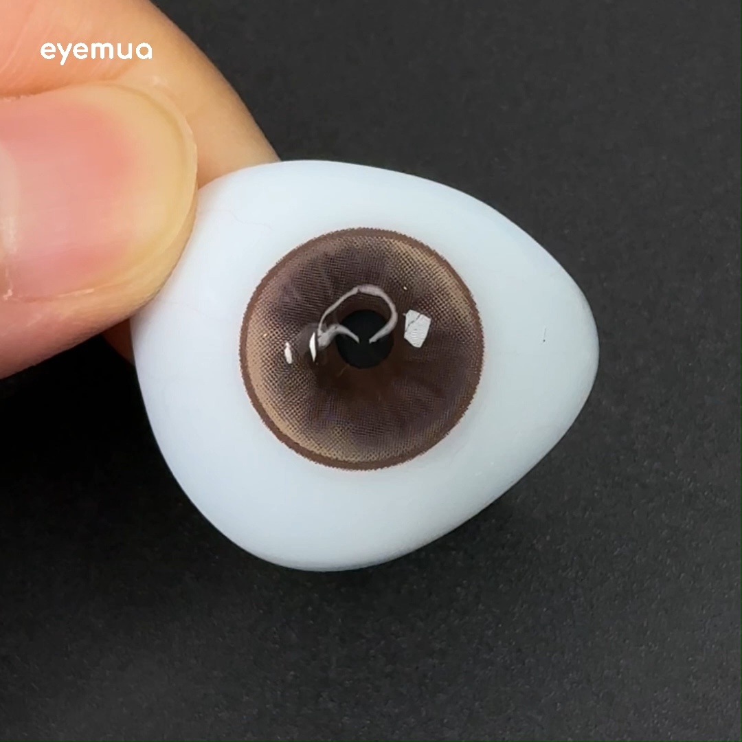 6-Month | Eyemua Thalia Brown