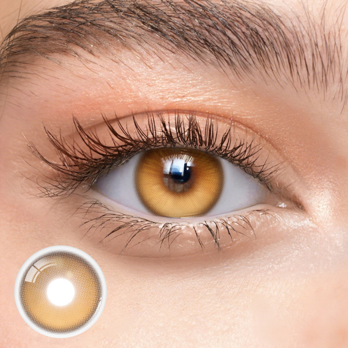 Eyemua Brunelle Brown