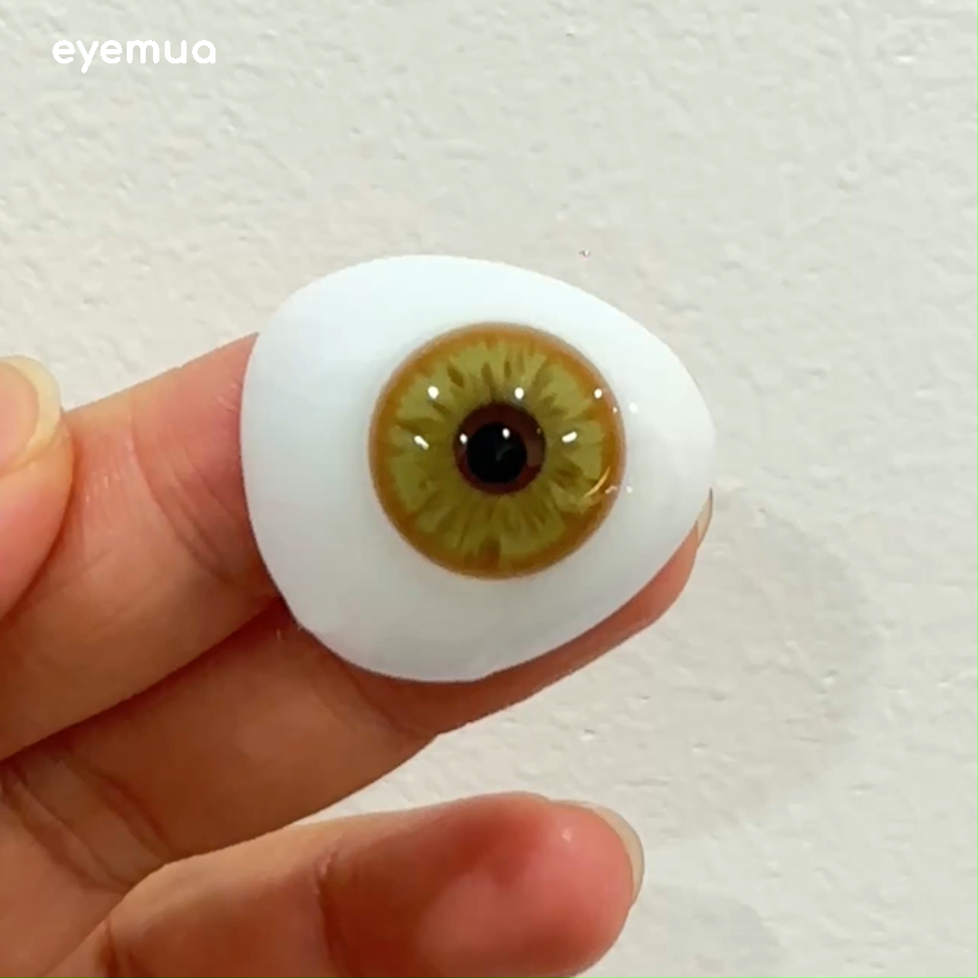 6-Month | Eyemua Lotus Brown