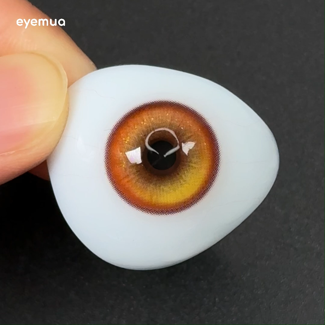 6-Month | Eyemua Torchlight Brown