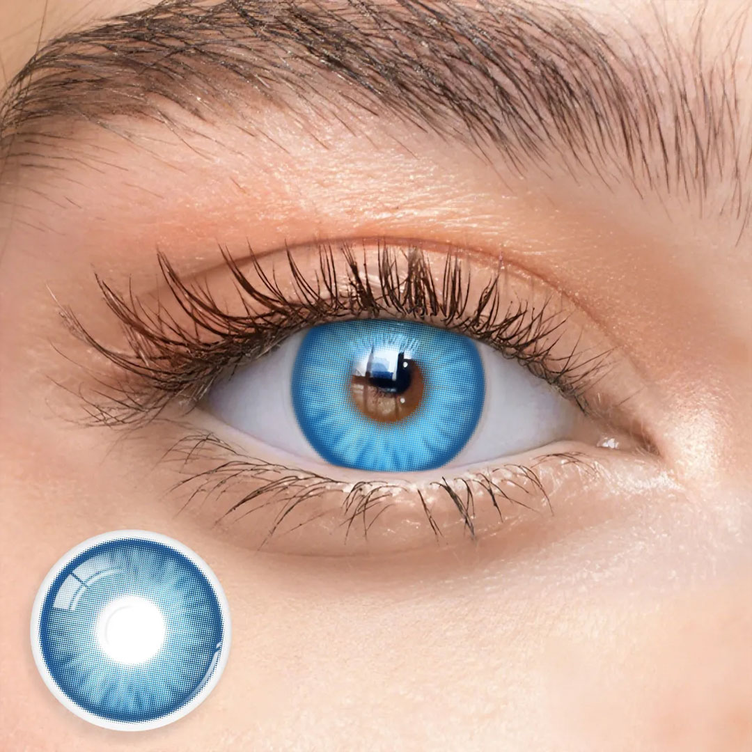 Eyemua Begonia Blue