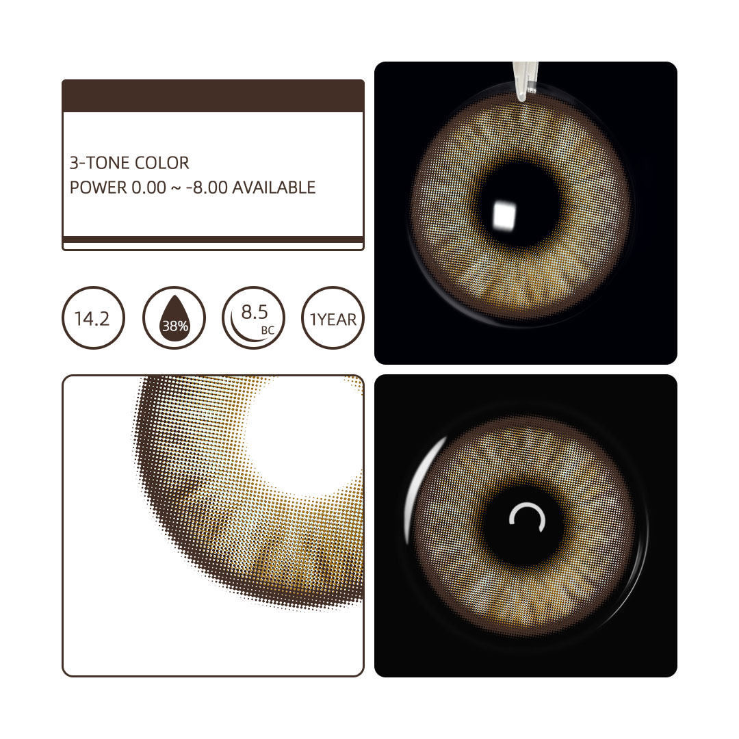 Eyemua Begonia Brown