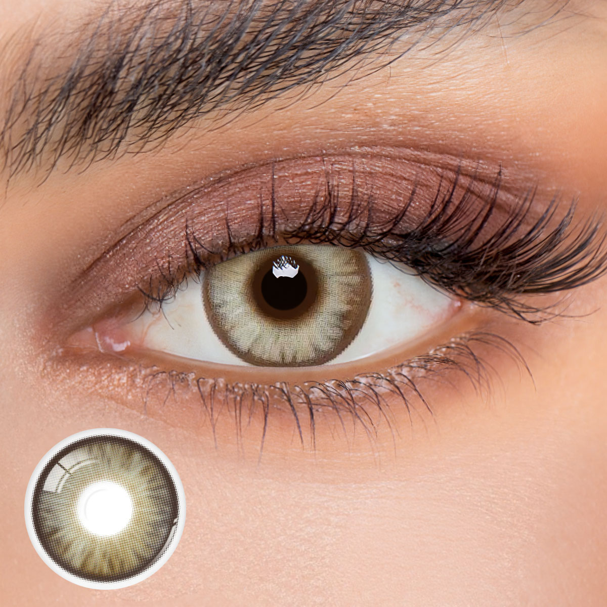 Monthly | Eyemua Begonia Brown