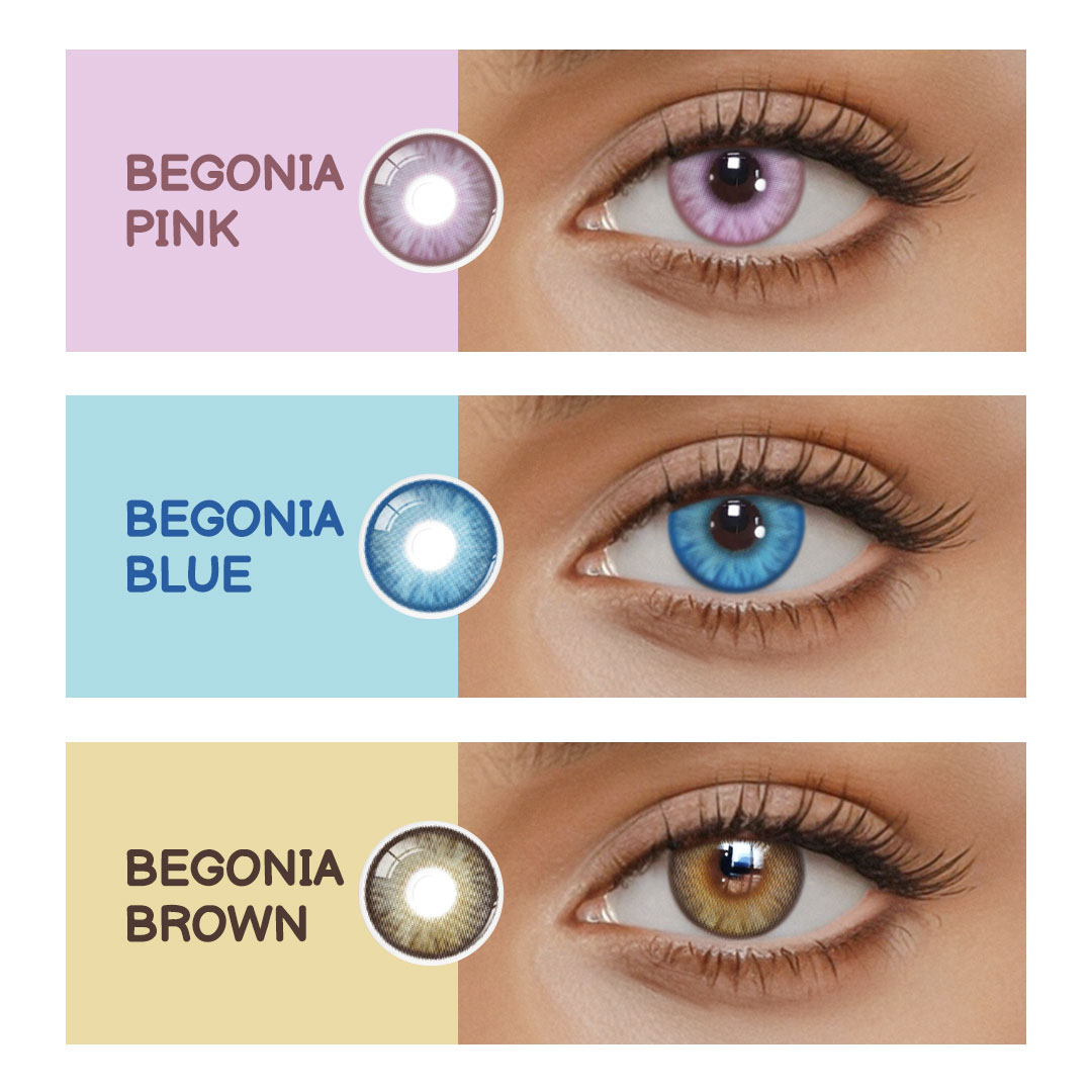 Eyemua Begonia Blue