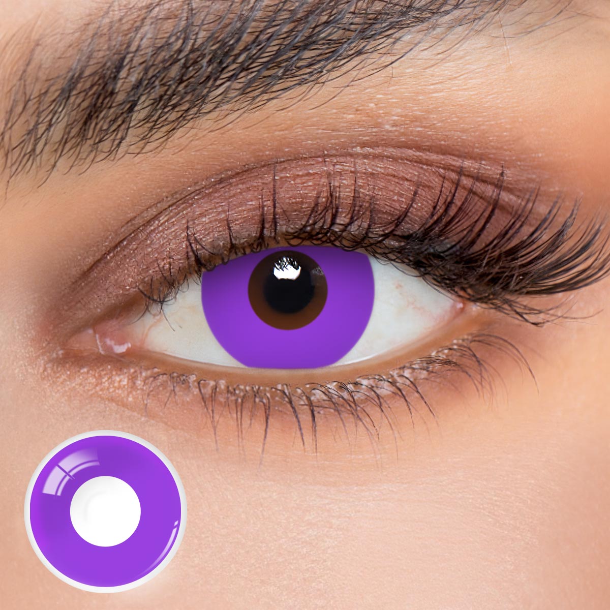 Monthly | Eyemua Blank Purple