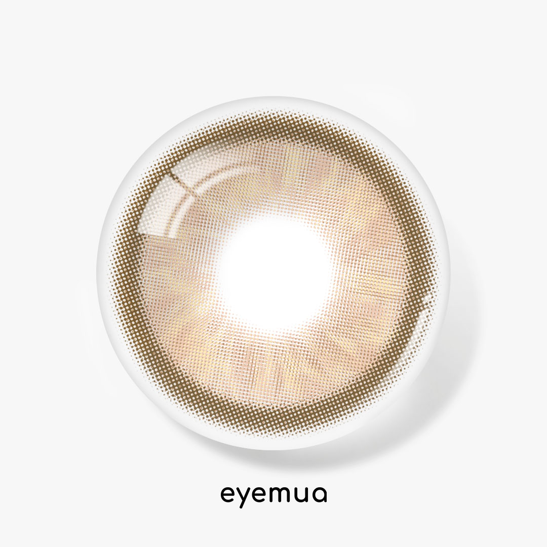 Eyemua Canvas Brown