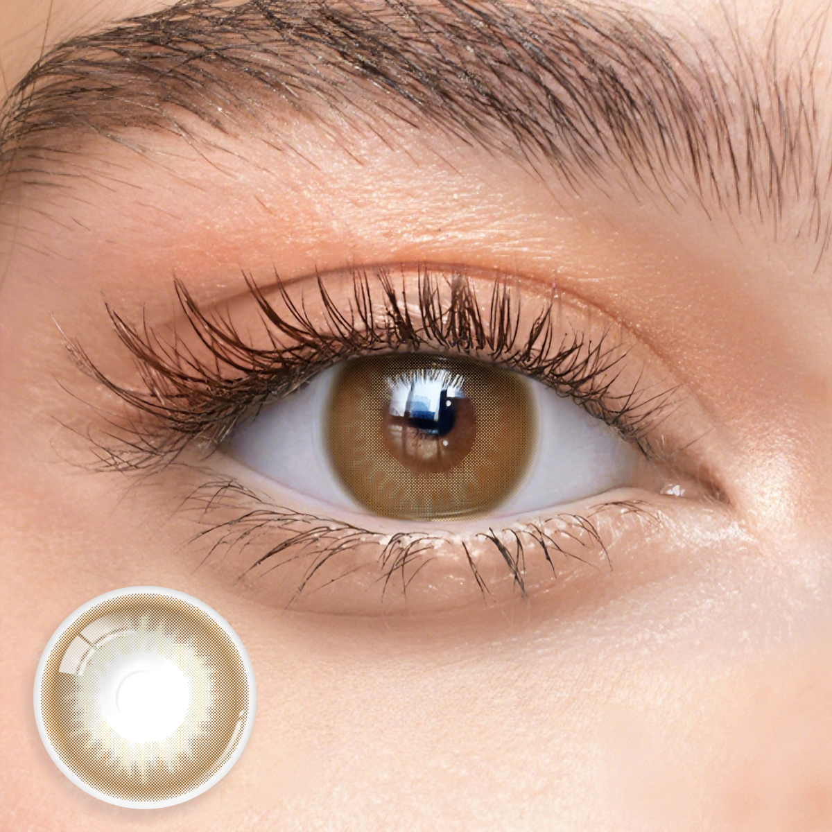 1 Day, 10 Pcs | Eyemua Cedarwood Brown