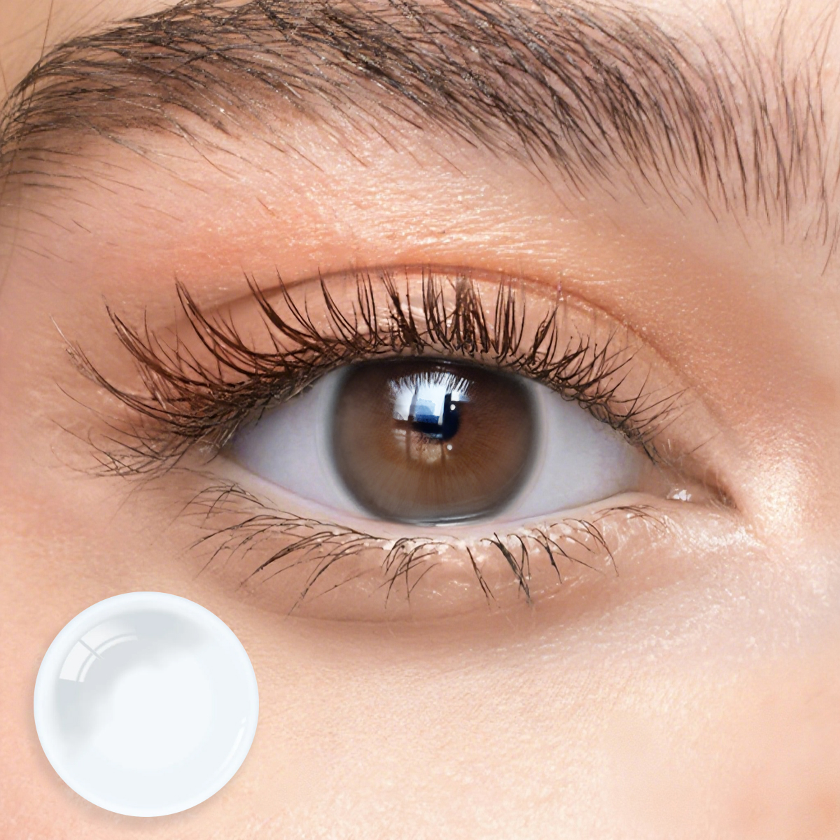 Monthly | Eyemua Clear Transparent Contacts