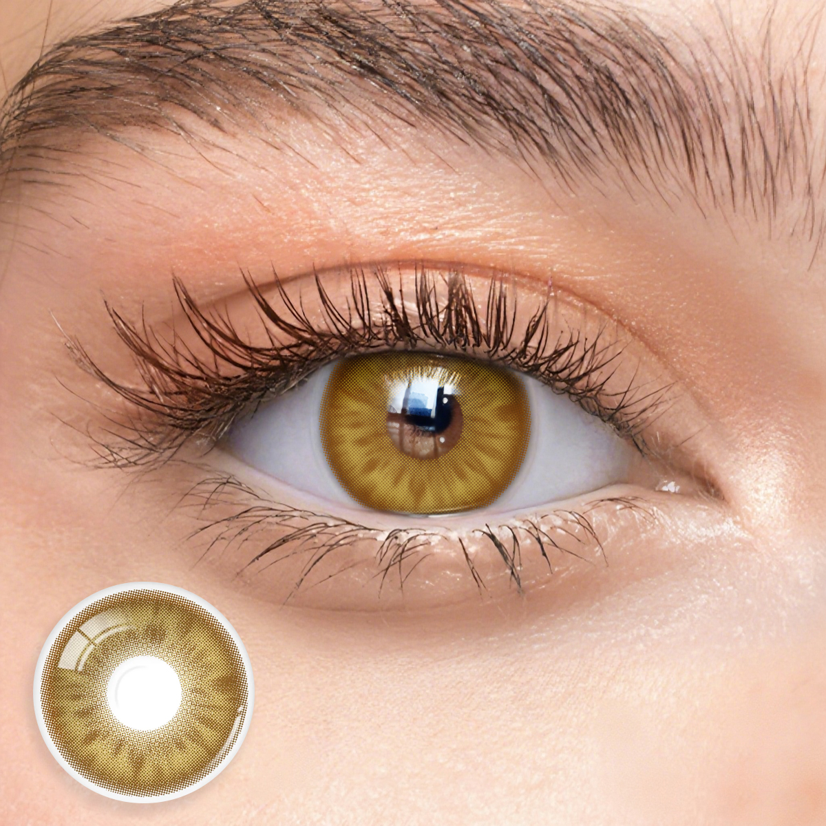 Eyemua Lotus Brown