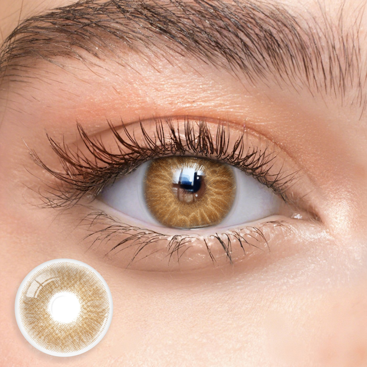 Eyemua Majesty Brown