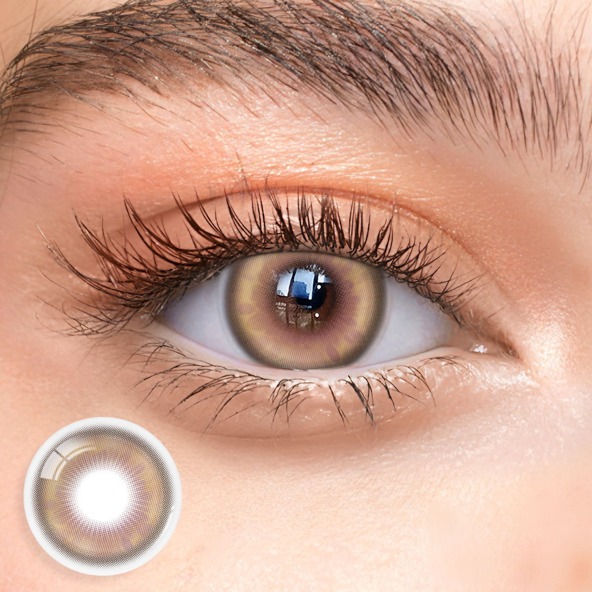 6-Month | Eyemua Orbit Brown