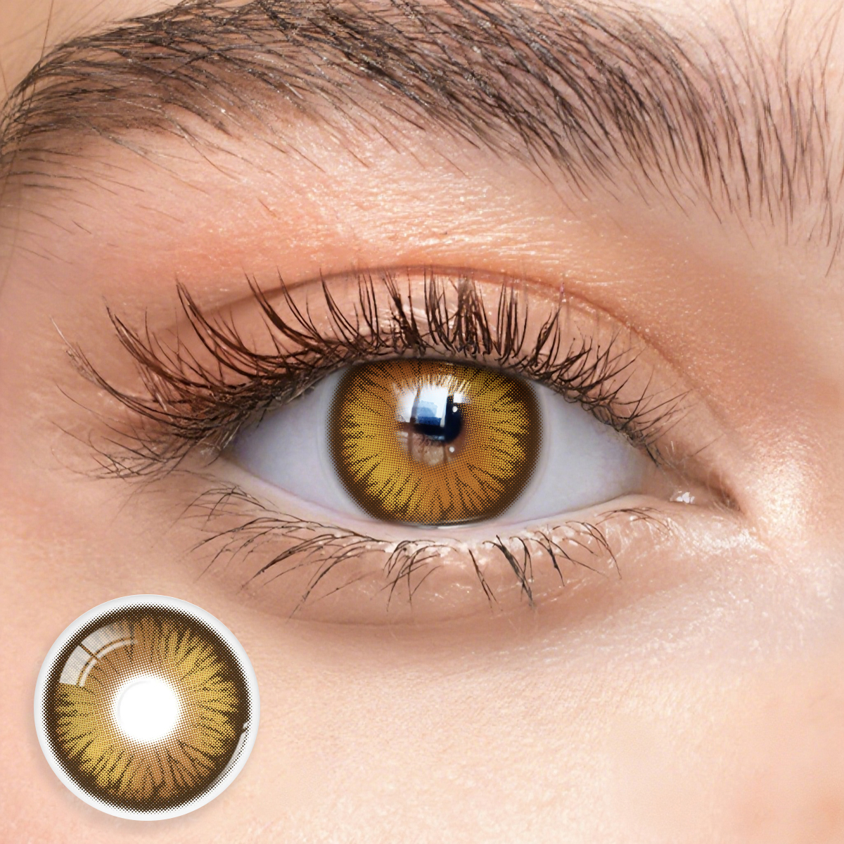 Eyemua Polo Punk Brown