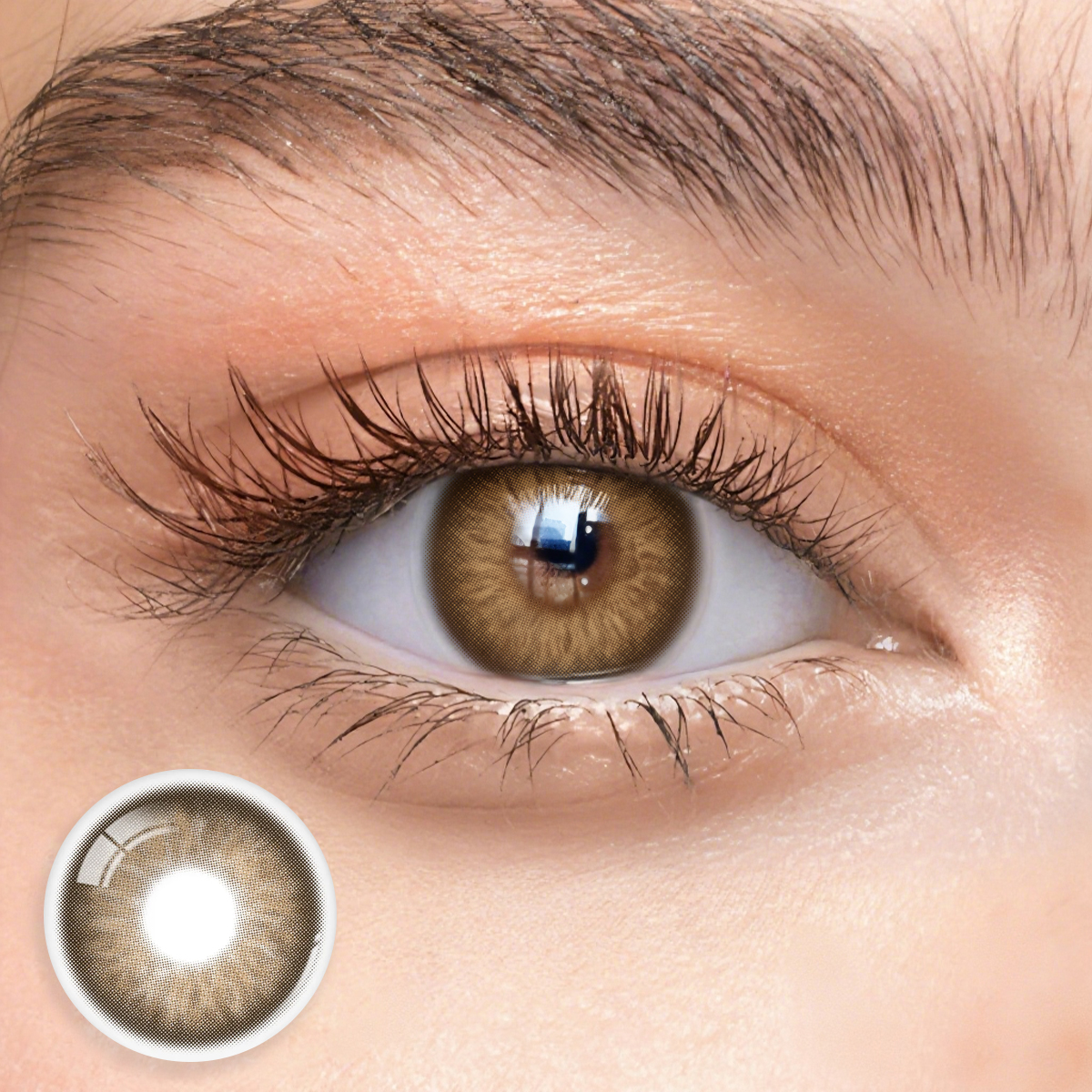 Monthly | Eyemua Vermis Brown