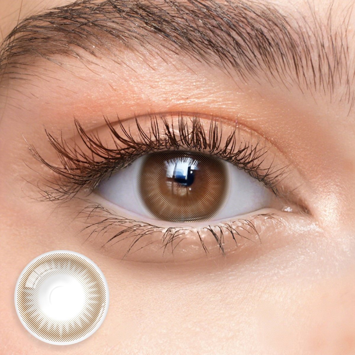 1 Day, 10 Pcs | Eyemua Gingerale Brown