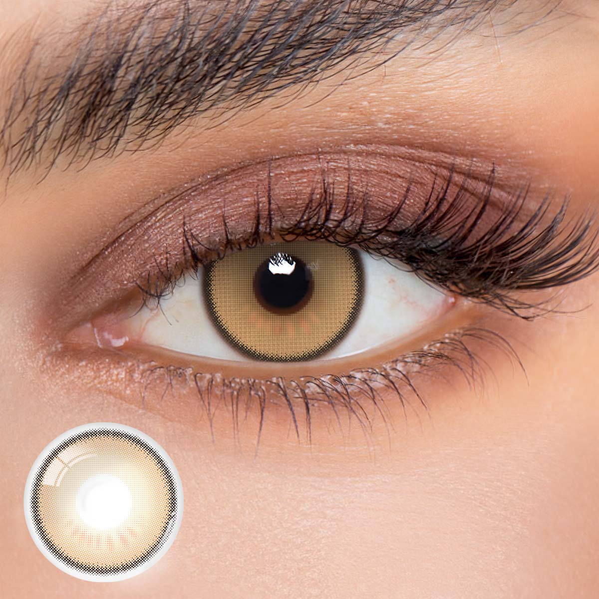 1 Day, 2 Pcs | Eyemua Golden Bloom