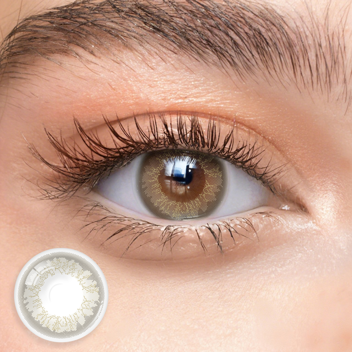 1 Day, 10 Pcs | Eyemua Ivory Grey