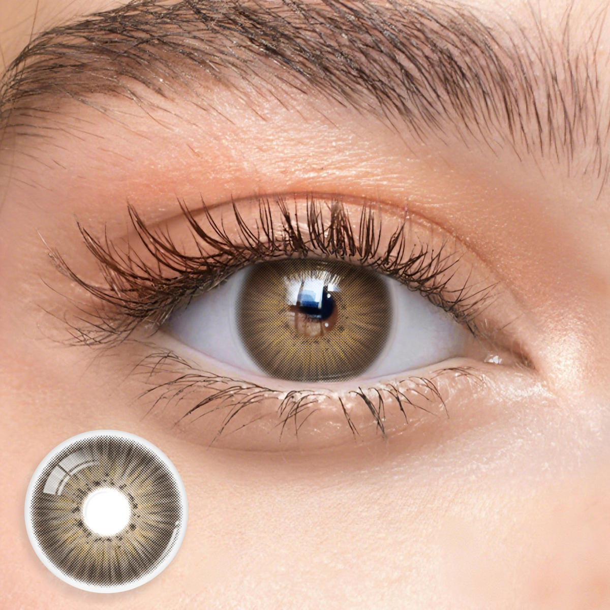 Eyemua New York Brown