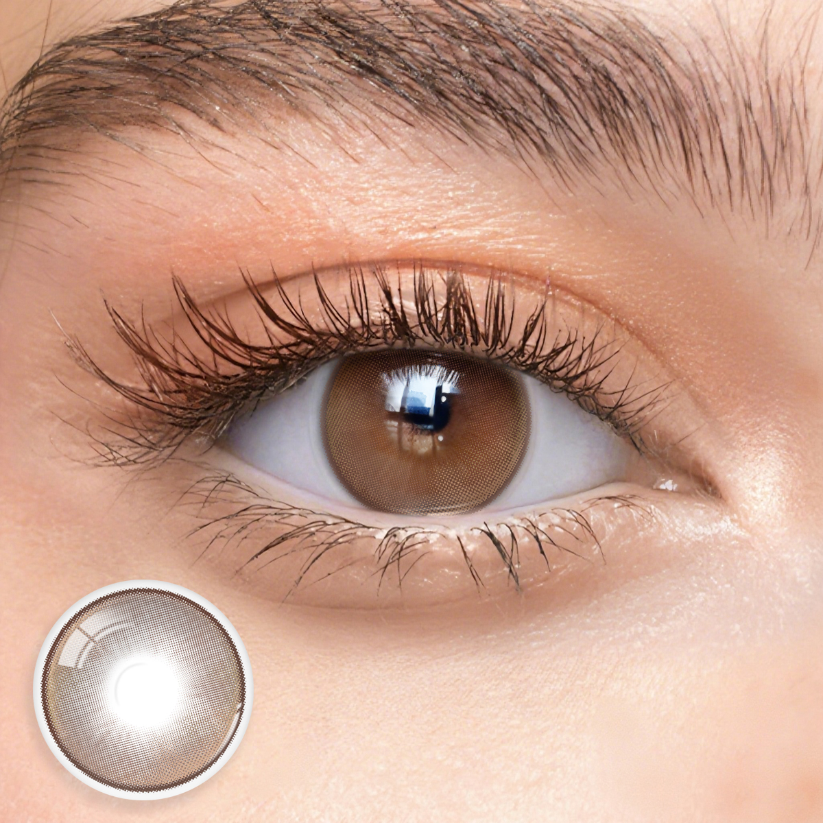 6-Month | Eyemua Thalia Brown