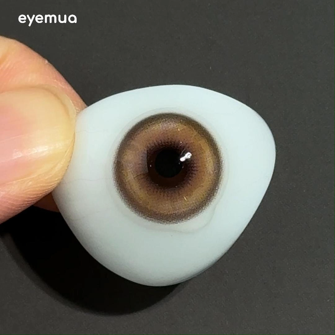 6-Month | Eyemua Orbit Brown