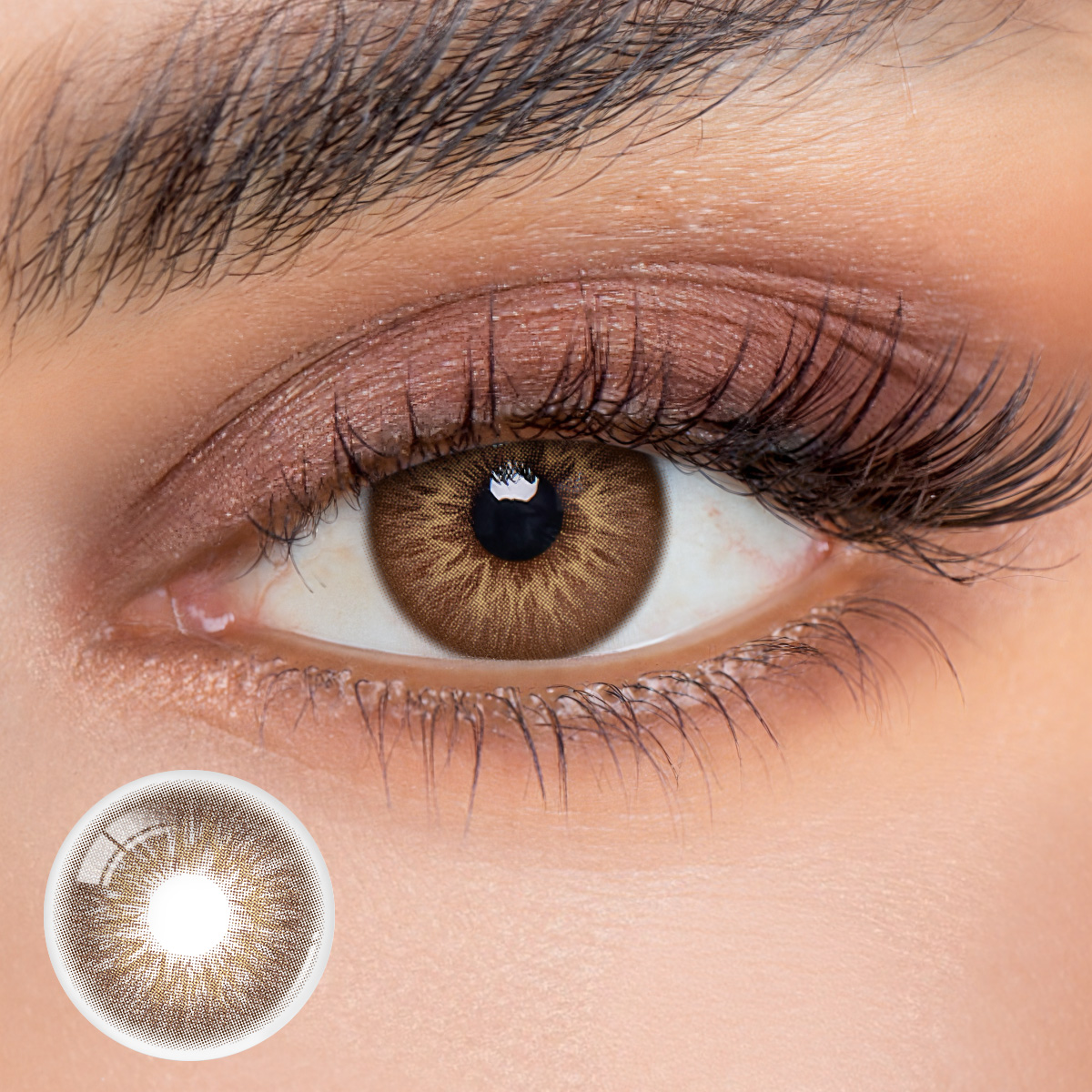 Eyemua Florescent Brown