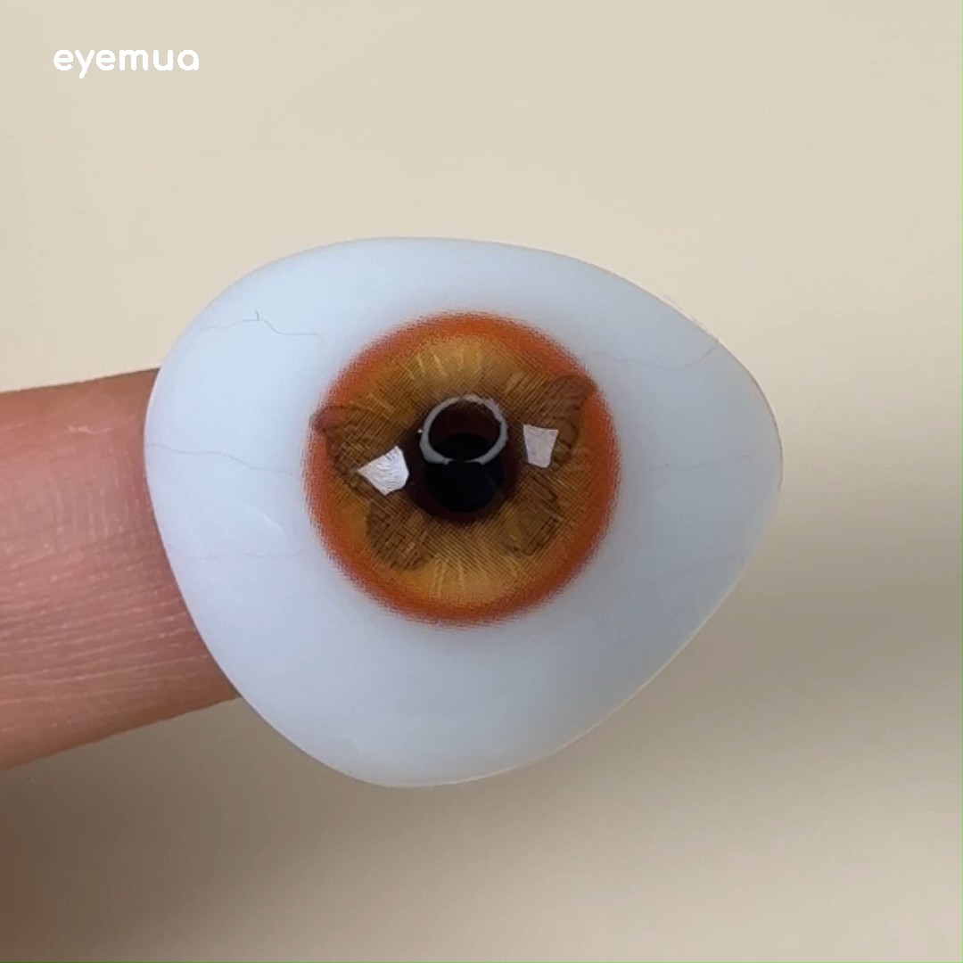 6-Month | Eyemua Monroe Brown