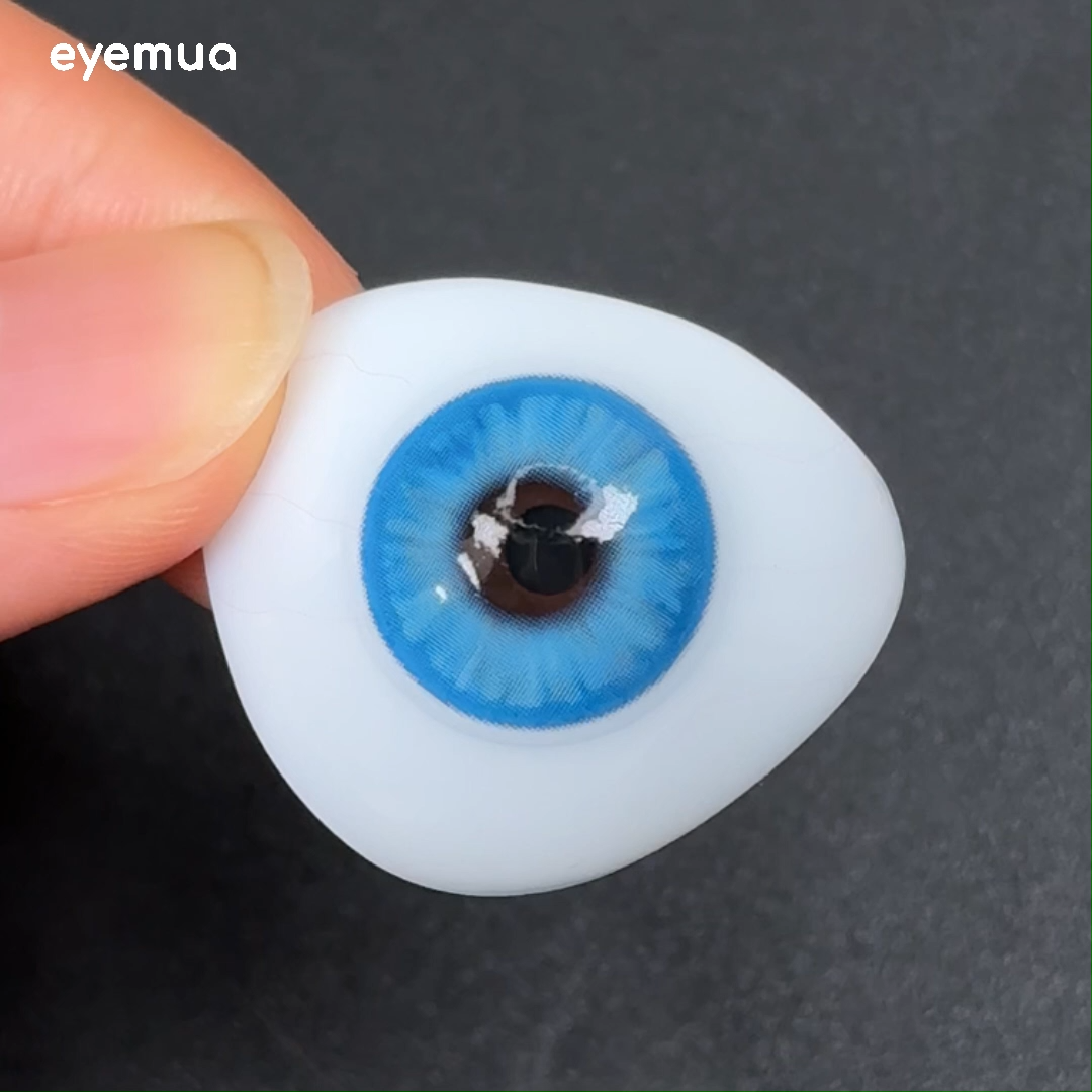 Eyemua Begonia Blue